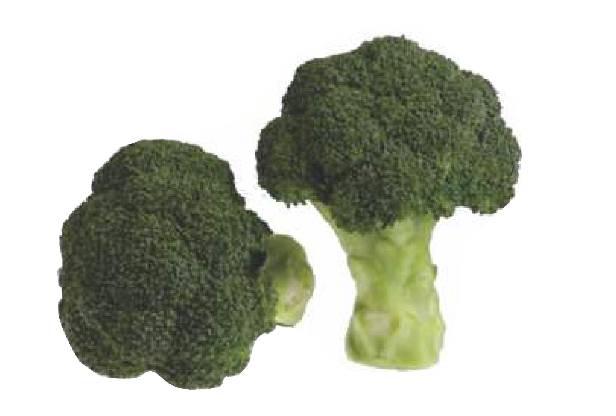 Брокколи Грин Мэджик f1. Капуста брокколи Грин Мэджик. Семена брокколи Broccoli. Грин Мэджик f1.